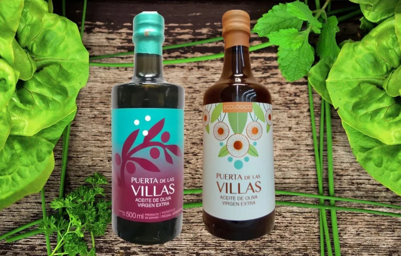 Najlepsza oliwa do sałatek: wybierz zdrowe i smaczne opcje